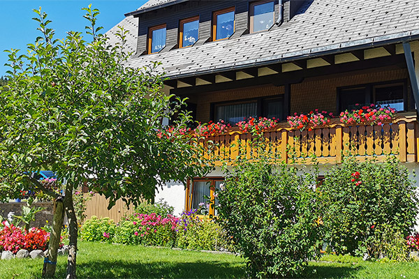 Haus Erika - Ferienwohnungen in Breitnau im Hochschwarzwald