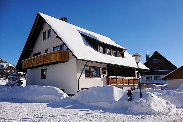 Haus Erika - Ferienwohnungen in Breitnau im Hochschwarzwald