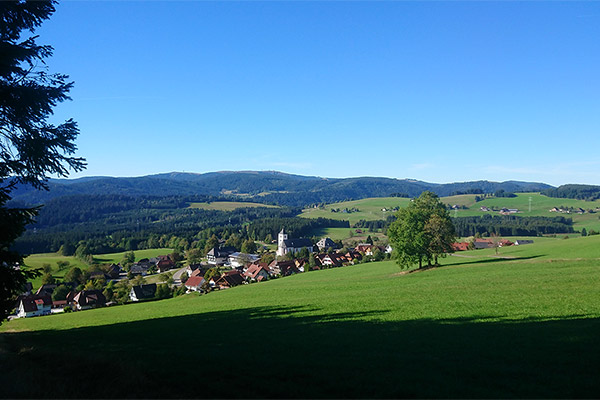 Breitnau: Blick übers Dorf vom Rossberg